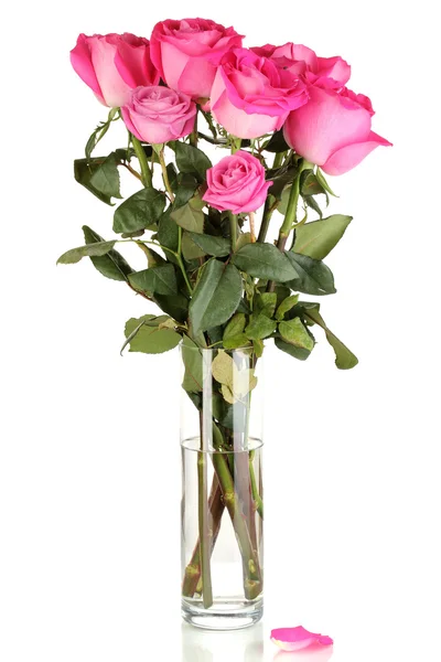 Schöne rosa Rosen in der Vase isoliert auf weiß — Stockfoto