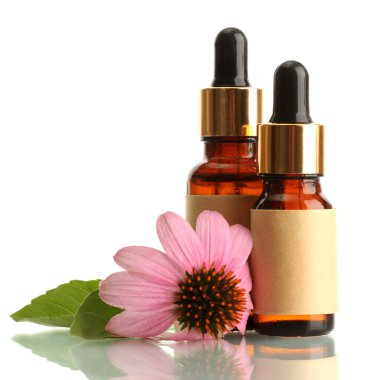 özü yağı ile üzerine beyaz izole mor Ekinezya ile şişe