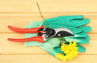 secateurs ahşap zemin çiçek