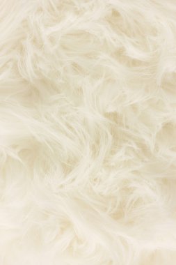 Beyaz kürk doku, yakın-arka plan olarak up.useful