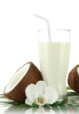 hindistancevizi ile süt, beyaz izole
