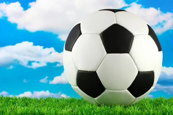 Футбольный мяч на зеленой траве, на голубом фоне неба — стоковое фото