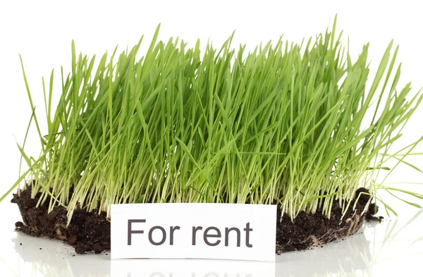 Green grass with ground as concept of land sale isolated on white — Stock Photo, Image