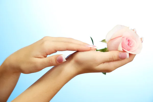 Hermosas manos de mujer con rosa, sobre fondo azul — Foto de Stock