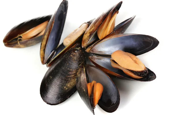 Moules en coquille isolées sur blanc — Photo