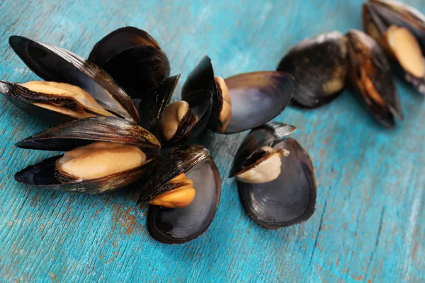 Mosselen in shell op blauwe houten tafel — Stockfoto