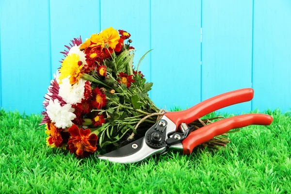 Tesouras de jardim com flores sobre fundo de madeira — Fotografia de Stock