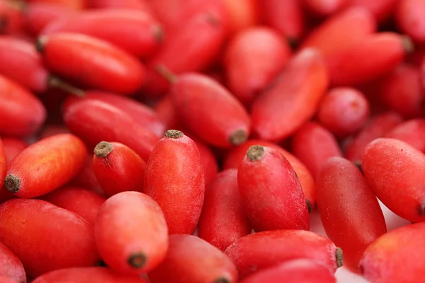 Ripe barberries, close up — Stock Photo, Image