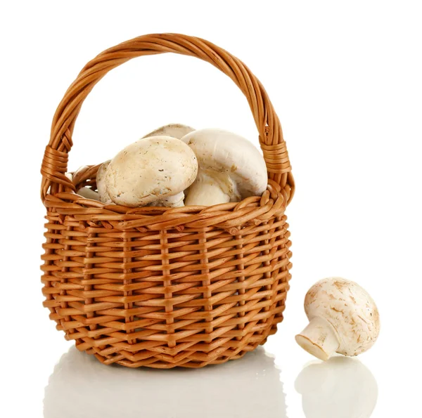 Verse champignons in mand geïsoleerd op wit — Stockfoto