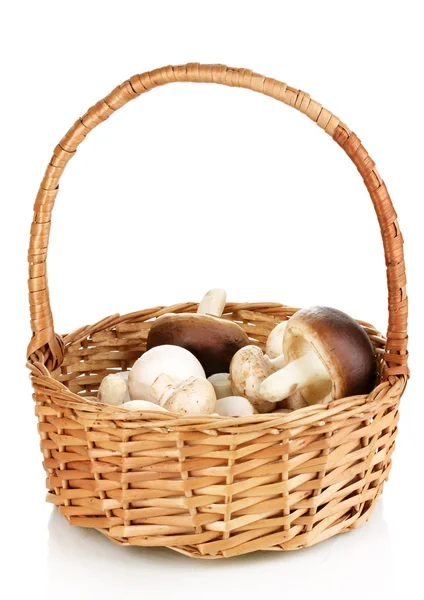 Fresh mushrooms in basket isolated on white — Stock Photo, Image