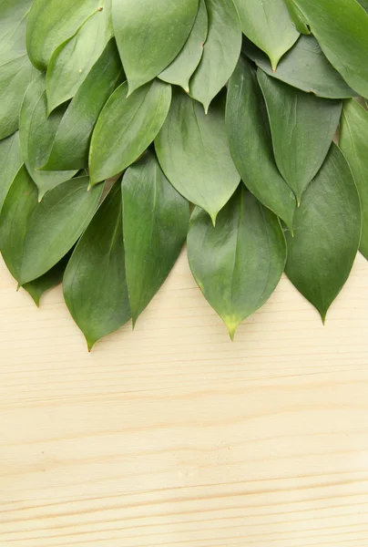 Hermosas hojas verdes, sobre fondo de madera — Foto de Stock