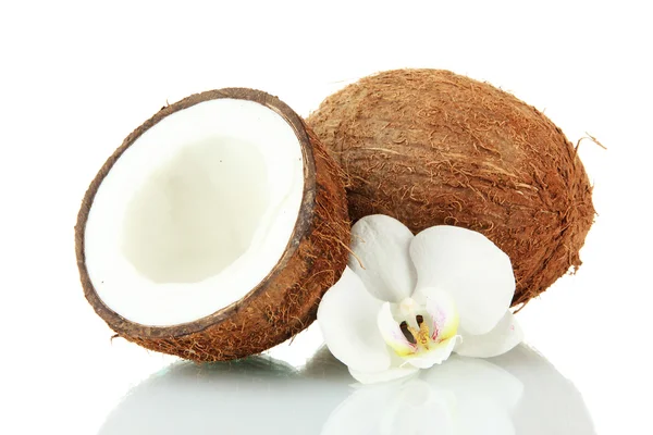 Noix de coco avec fleur, isolées sur blanc — Photo