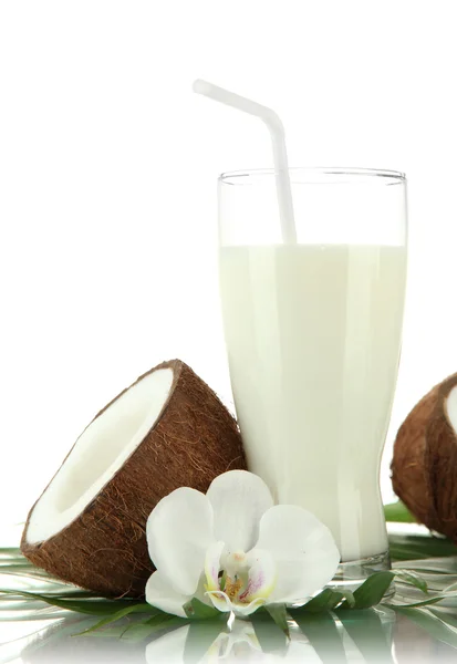 Кокосы со стаканом молока, изолированные на белом — стоковое фото