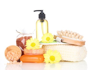 beyaz izole bir vücut bakımı için ayarla