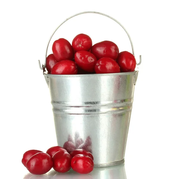 Fresh cornel berries in bucket isolated on white — Stock Photo, Image