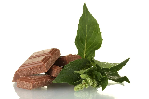 Stukken van chocolade en munt geïsoleerd op wit — Stockfoto