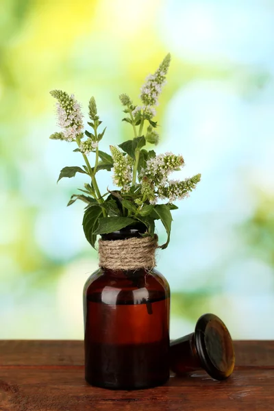 Essential oil and mint on green background close-up — Stock Photo, Image