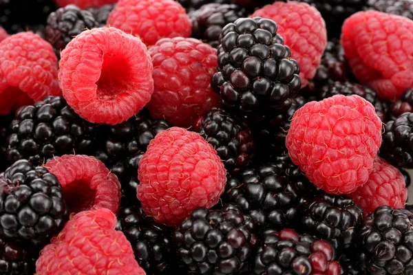 Background of beautiful berries — Stock Photo, Image