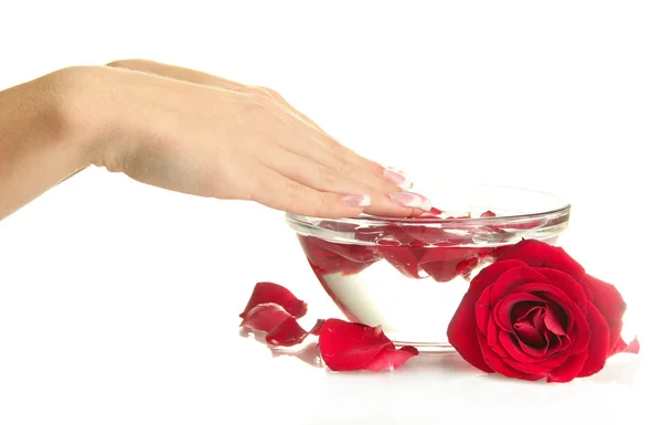 Woman hand with glass bowl of water with petals, isolated on white — Stock Photo, Image