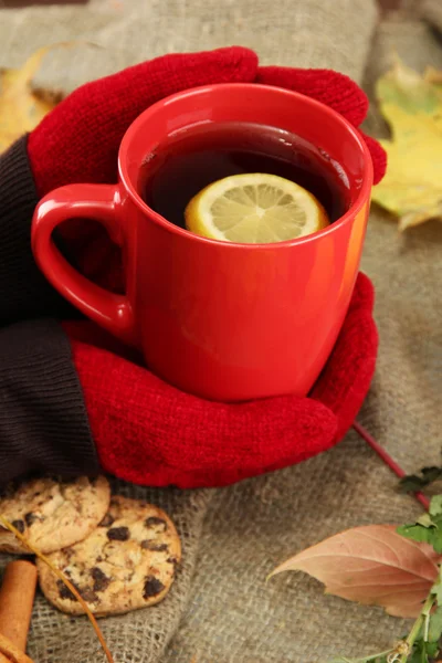 Manos sosteniendo taza de bebida caliente y hojas de otoño, sobre fondo de arpillera —  Fotos de Stock