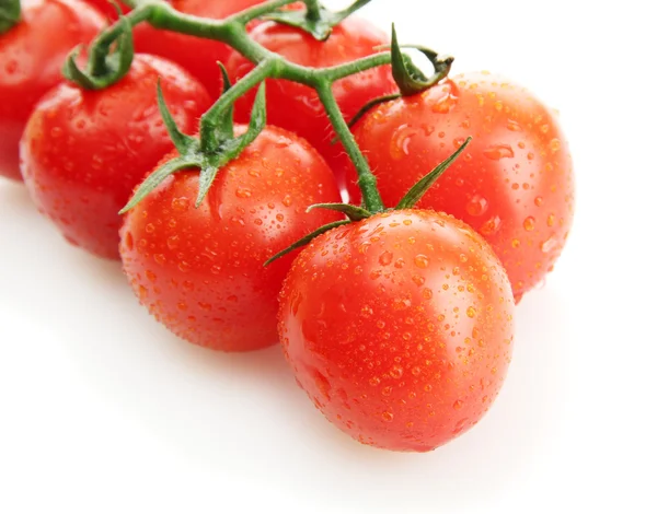 Tomates cerises sur une branche avec des gouttes isolées sur blanc — Photo