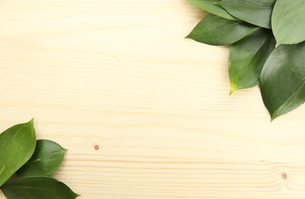 Beautiful green leaves, on wooden background — Stock Photo, Image