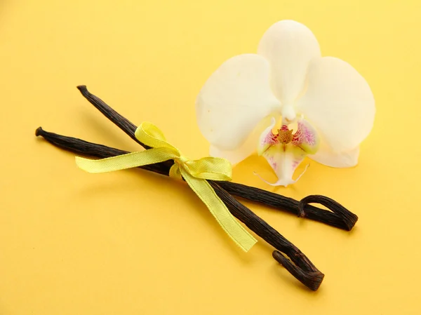 Ο λοβός της βανίλιας με λουλούδι, σε κίτρινο φόντο — Φωτογραφία Αρχείου