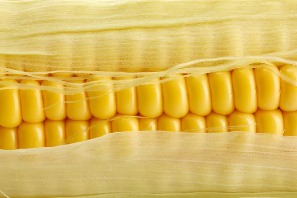 Свежая кукуруза, крупный план — стоковое фото