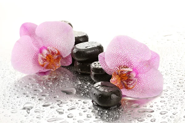 Spa stenar och orkidé blommor, på våta bakgrund — Stockfoto