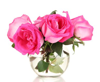 güzel pembe gül cam aranjman beyaz izole