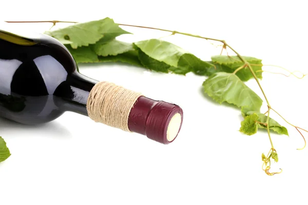 白で隔離されるブドウの葉とワインのボトル — ストック写真