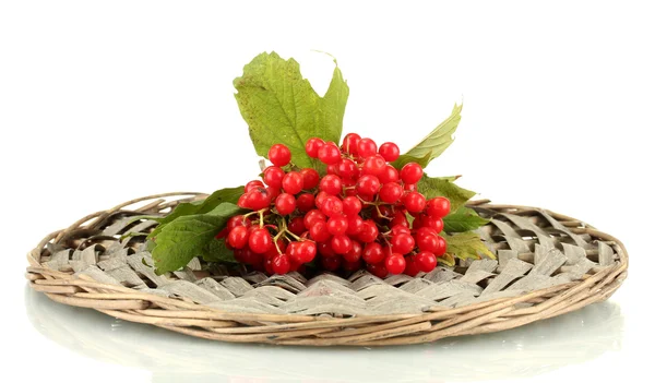 Ripe viburnum on a wicker mat isolated on white — Stock Photo, Image