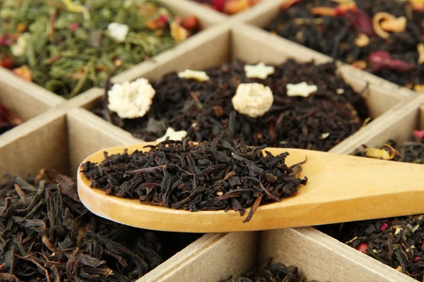 Surtido de té seco en caja de madera, de cerca — Foto de Stock