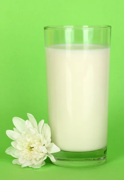 Склянка свіжого нового молока з білою квіткою на зеленому фоні — стокове фото