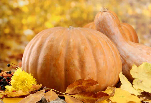 Pompoenen en herfst bladeren, op gele achtergrond — Stockfoto