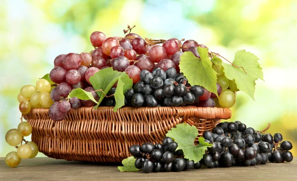Asortyment dojrzałe słodkie winogrona w koszyku, na zielonym tle — Zdjęcie stockowe