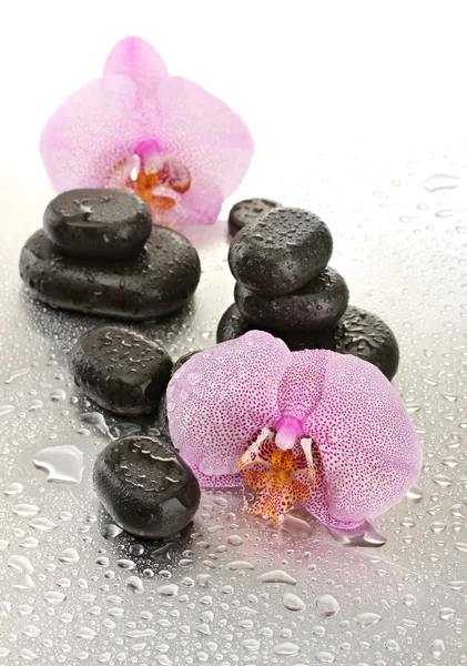 Spa kövek és orchidea virágok, nedves alapon — Stock Fotó