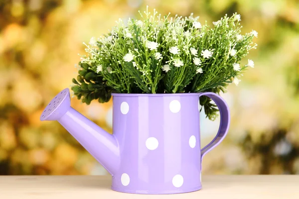 Decorative flowers in watering can on bright background — Stock Photo, Image