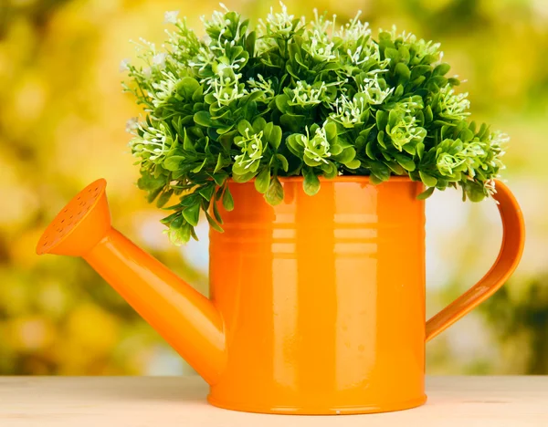 Decorative flowers in watering can on bright background — Stock Photo, Image