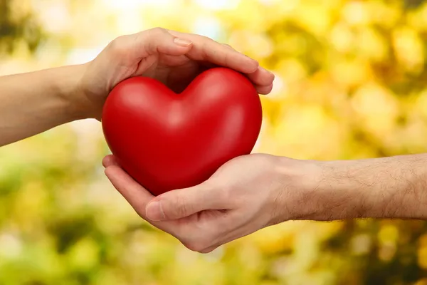 Corazón rojo en manos de hombre y mujer, sobre fondo verde —  Fotos de Stock