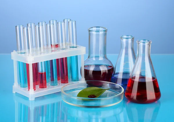 Test-tubes and green leaf tested in petri dish, on color background — Stock Photo, Image