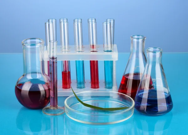 Test-tubes and green leaf tested in petri dish, on color background — Stock Photo, Image