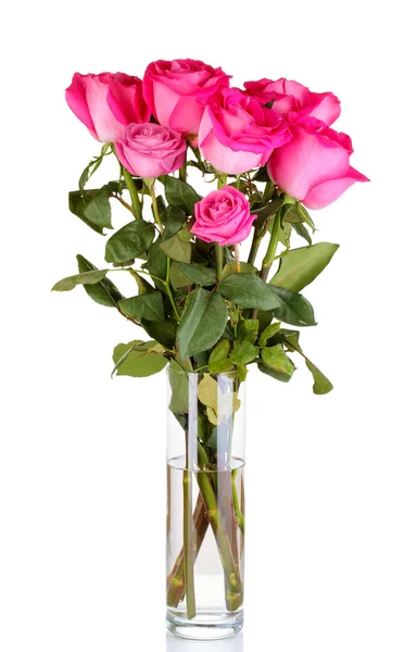 美丽的粉红色玫瑰在花瓶上白色隔离 — 图库照片