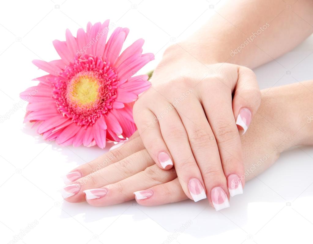 Woman hands with french manicure and flower isolated on white