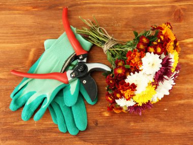 secateurs üzerinde beyaz izole çiçek