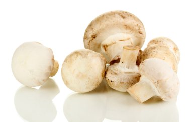 Beyaz mantarlar izole edilmiş.