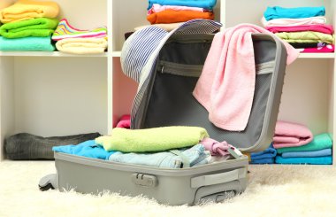 Gümüş çanta giyim odası ile açın.