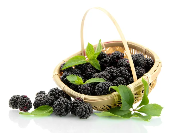 Beautiful blackberries with leaves in basket isolated on white — Stock Photo, Image