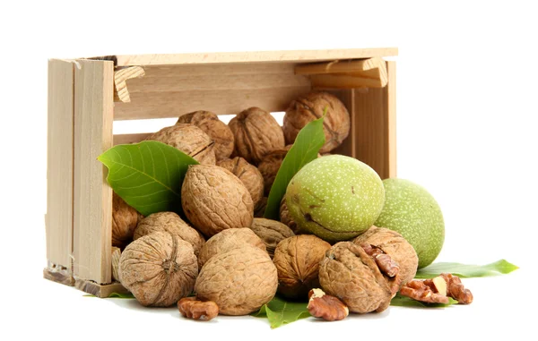 Walnuts with green leaves in woooden crate, isolated on white — Stock Photo, Image