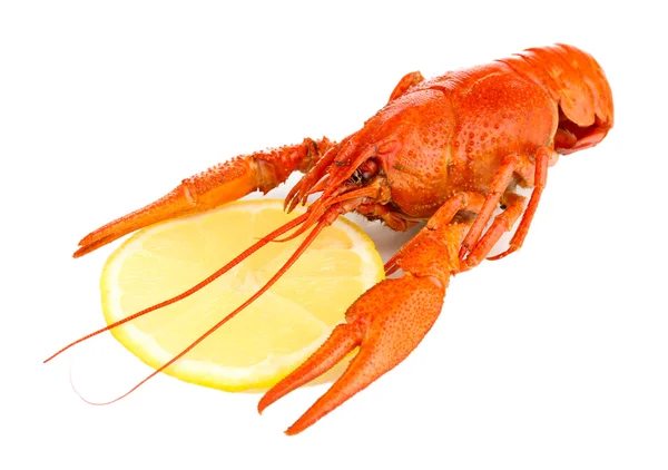 Tasty boiled crayfish with lemon isolated on white — Stock Photo, Image